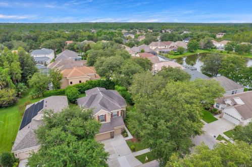 10246 Evergreen Hill Dr, Tampa FL 33647-2944 exterior