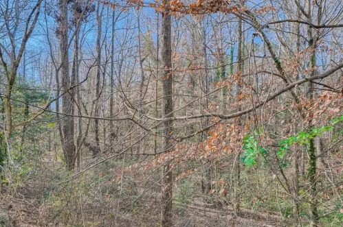 1776 Clifton Rd, Atlanta GA 30307-1252 exterior