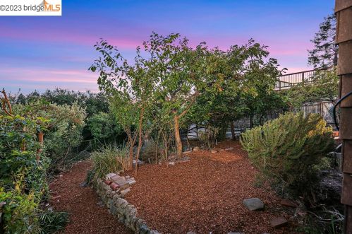 930 Shattuck Ave, Berkeley CA 94707-2401 exterior