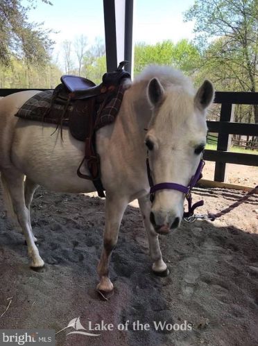 428 Birchside Cir, Locust Grove VA 22508-5440 exterior