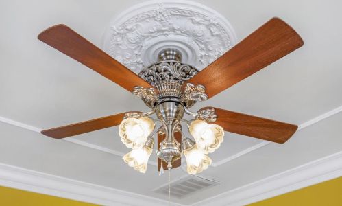 516 D St, Davis CA 95616-3815 exterior