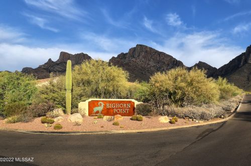 10325 Calle Del Carnero, Tucson, AZ 85737-9517