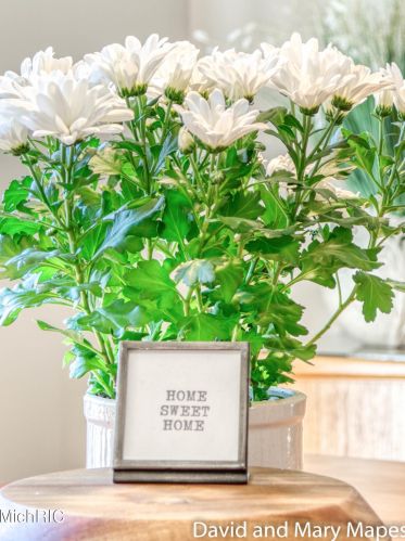 2614 Santigo Ave, Grand Rapids MI 49546-8503 exterior