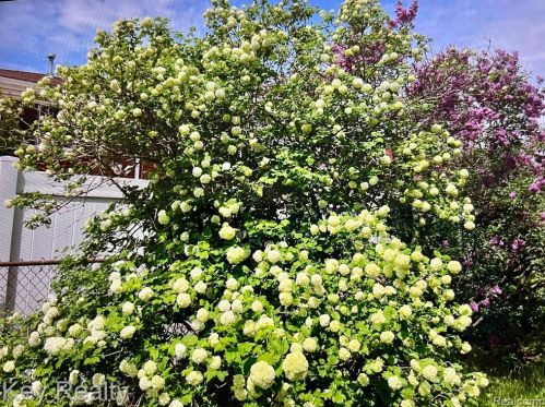 5975 Hubbell St, Dearborn Heights MI 48127-2445 exterior