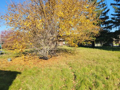 7810 Leon Ter, Milwaukee, WI 53218-2629