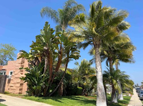 4734-36 Biona Dr, San Diego, CA 92116-2530