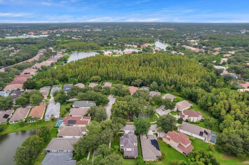 10246 Evergreen Hill Dr, Tampa FL 33647-2944 exterior