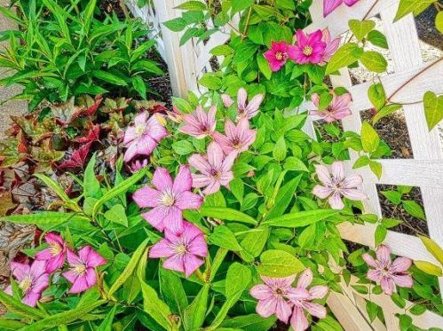 1209 7 Ave, Princeton MN 55371-1520 exterior