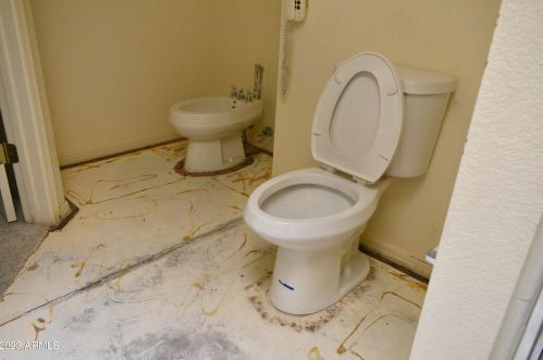 25802 Cloverland Dr, Chandler AZ 85248-9221 exterior