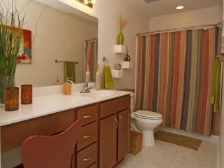 10898 Bucknell Dr, Silver Spring MD  20902-4324 exterior