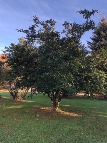 10 Farm Mdw Ln, Montgomery NY 12549-2100 exterior