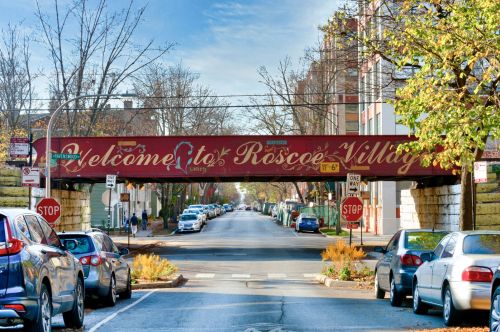 2203 Roscoe St, Chicago IL  60618-6347 exterior