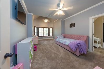 3639 Castoff Ct, Gainesville GA 30506-4293 exterior