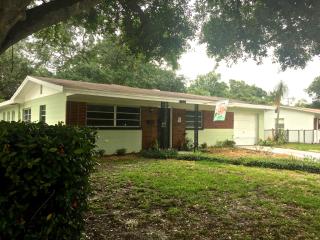 4612 Ferdinand Ave, Tampa, FL 33611-2709