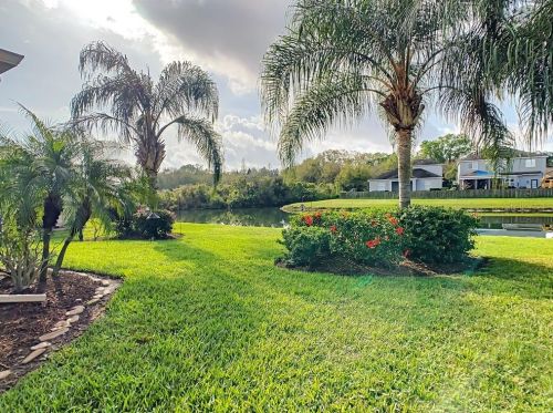 11429 Dutch Iris Dr, Riverview FL 33578-3728 exterior