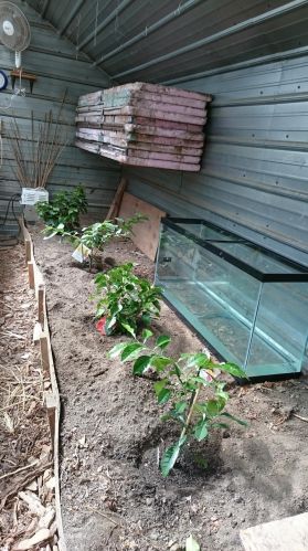 1377 County Road E, Saint Paul MN  55110-5231 exterior