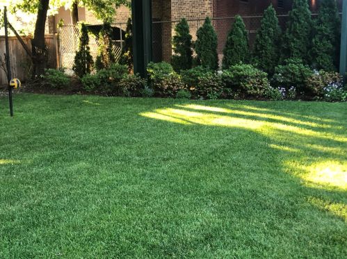 1814 Warner Ave, Chicago IL 60618-3031 exterior