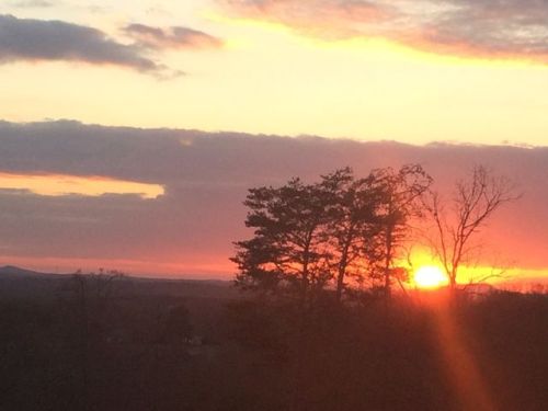 311 Old Rockhouse Rd, Greenville, SC 29609-6519