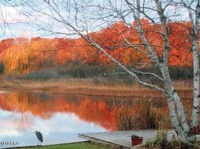 4206 Lk Frst Dr, Kalamazoo MI 49008-3309 exterior