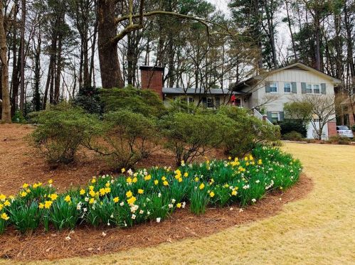 1897 Audubon Dr, Atlanta GA  30329-2702 exterior