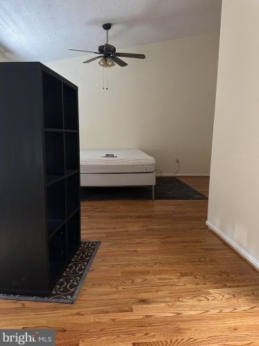 10904 Pebble Run Dr, Silver Spring MD 20902-3685 exterior