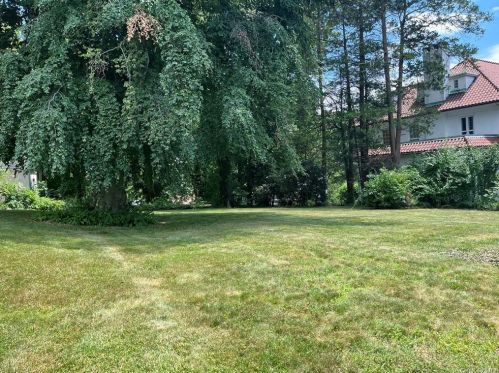 131 Esplanade, Mount Vernon NY 10553-1116 exterior