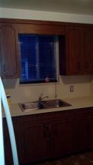 9344 Hartwell St, Detroit MI  48228-2536 exterior