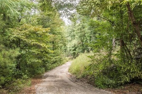 135 Black Gum Dr, Asheville, NC 28805-9262