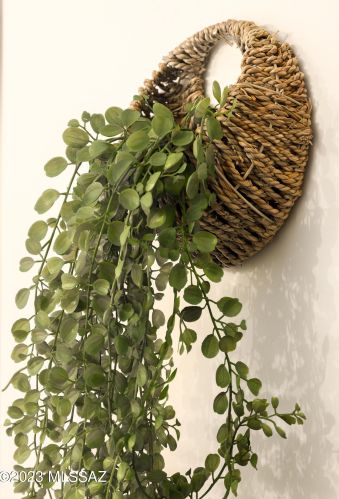 1045 Anita Ave, Tucson AZ  85705-7515 exterior