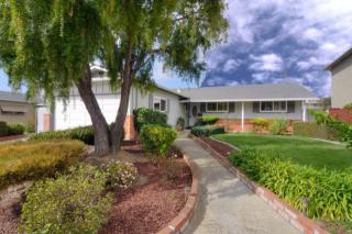 1383 Olympic Dr, Milpitas, CA 95035-6513
