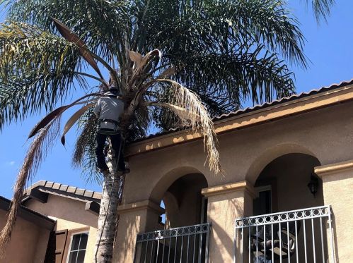 1474 Albillo Loop, Perris CA 92571-7571 exterior