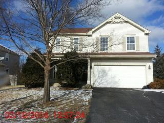 572 Wingpointe Dr, Aurora IL  60506-8814 exterior