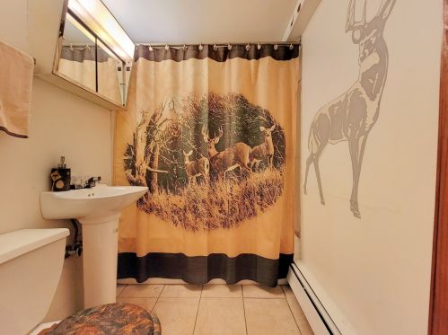 829 34 St, Chicago IL 60608-6703 exterior