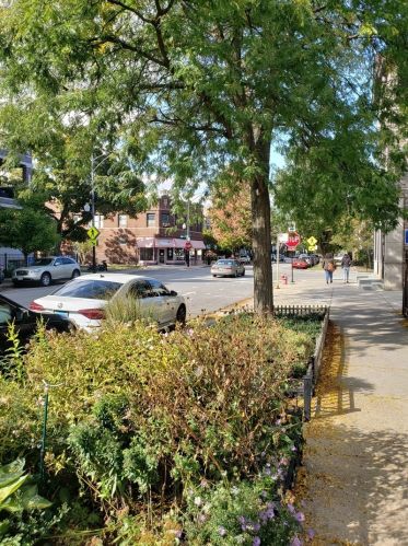 3217 Southport Ave, Chicago IL 60657-3228 exterior