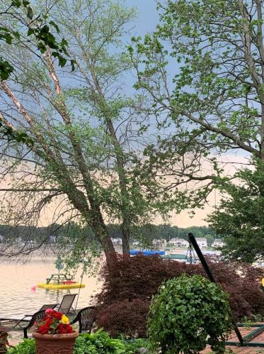 790 Eagle Lk Dr, Kalamazoo MI 49009-9612 exterior