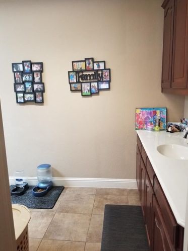 627 Seymour Dr, Frisco TX 75033-0997 exterior