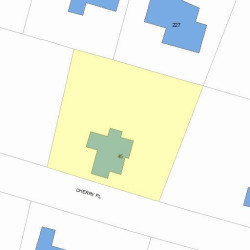 45 Cherry Pl, Newton MA 02465-1505 plot plan