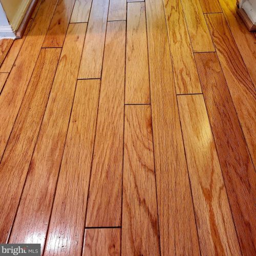 13 Jasmine Ct, Trenton NJ  08648-4808 exterior