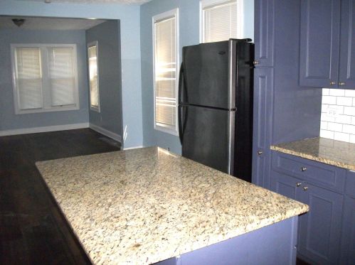 49 102nd Pl, Chicago IL  60628-2015 exterior