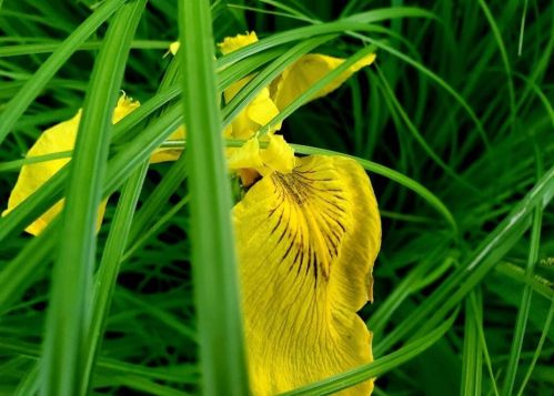 5865 Riv Frst Dr, Milwaukee WI 53209-4524 exterior