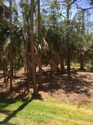 9165 Celeste Dr, Naples FL 34113-3049 exterior