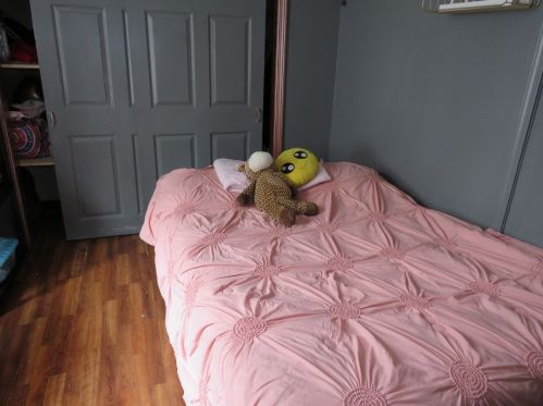 1253 Hickory St, Joliet IL 60435-4374 exterior