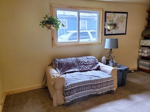 513 Decalb St, Reed City MI 49677-1347 exterior