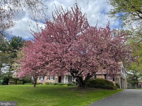 233 Old State Rd, Limerick, PA 19468-3116