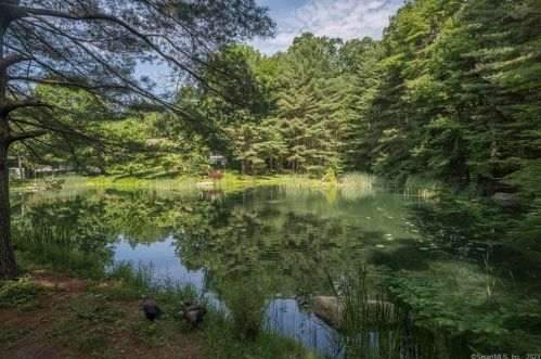 12 Firetower Rd, Deep River CT 06419-1210 exterior