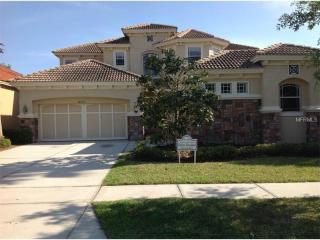 14753 San Marsala Ct, Tampa, FL 33626-3316