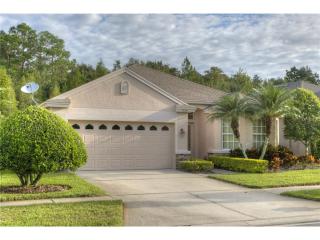 9658 Gretna Grn Dr, Tampa FL  33626-5311 exterior