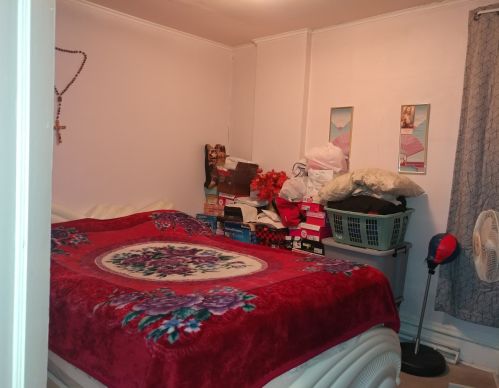 4801 Ada St, Chicago IL 60609-5919 exterior