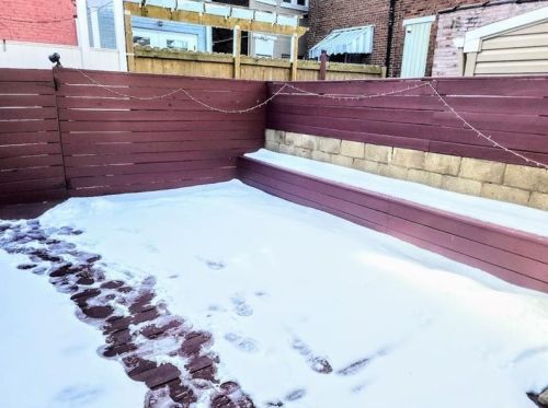 2332 Fox Way, Pittsburgh PA 15203-1838 exterior