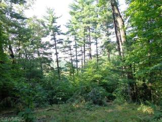 3738 Allegan Dam Rd, Allegan MI  49010-9450 exterior